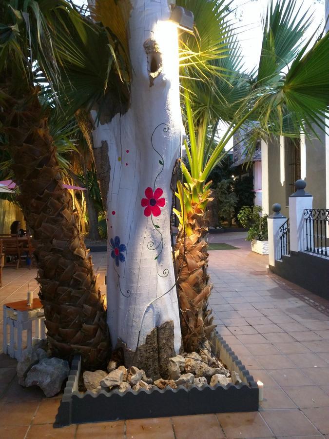 Nwt Paradise Urban Hostel 알리칸테 외부 사진