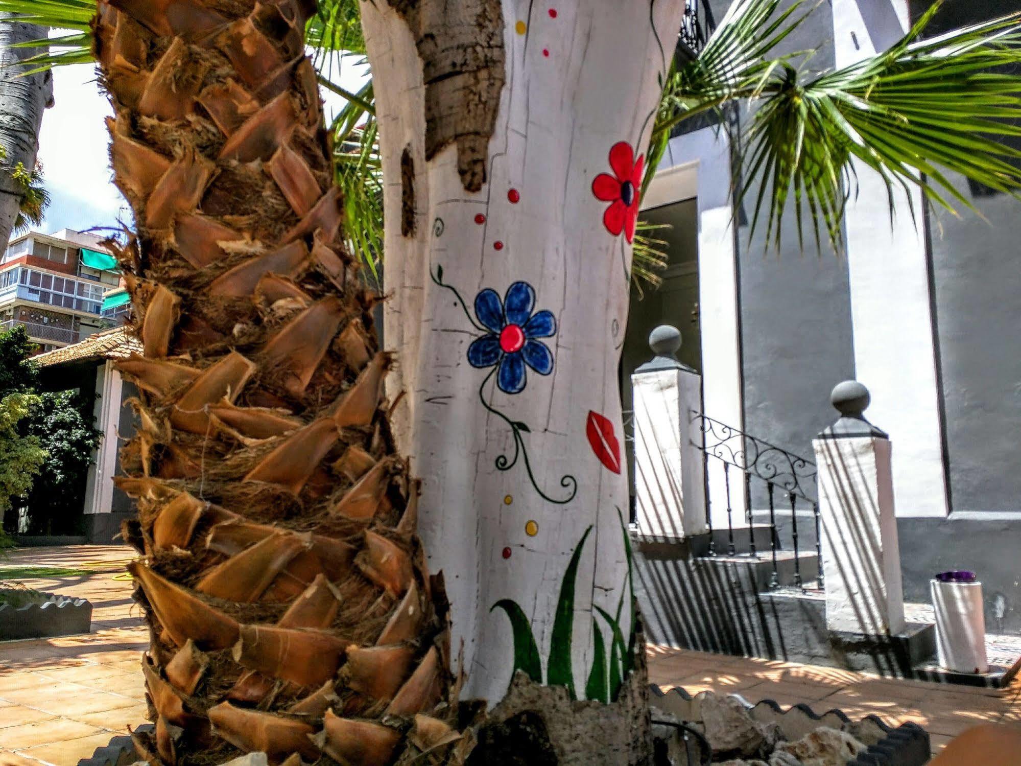 Nwt Paradise Urban Hostel 알리칸테 외부 사진
